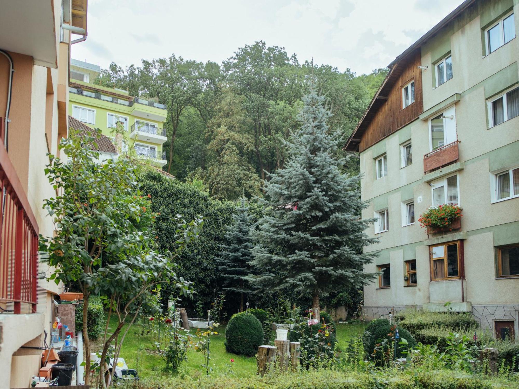Cozy Central Apartment Near The Forest Brașov Exterior foto